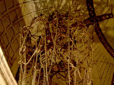 Encaged Sounds Image