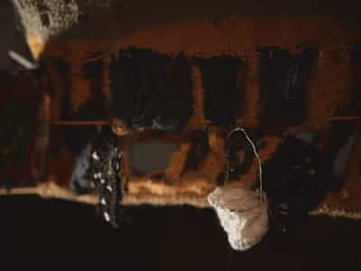 House2 Image 7